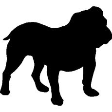 Englanninbulldog -tarra