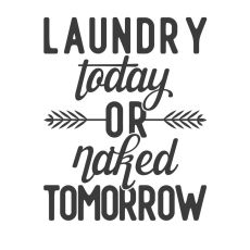 Laundry Today Or Naked Tomorrow -tarra